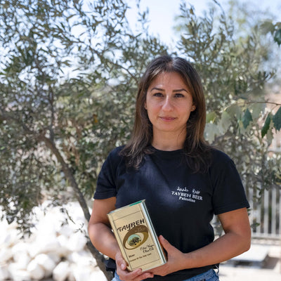 Olive Oil & Olive Trees from Palestine