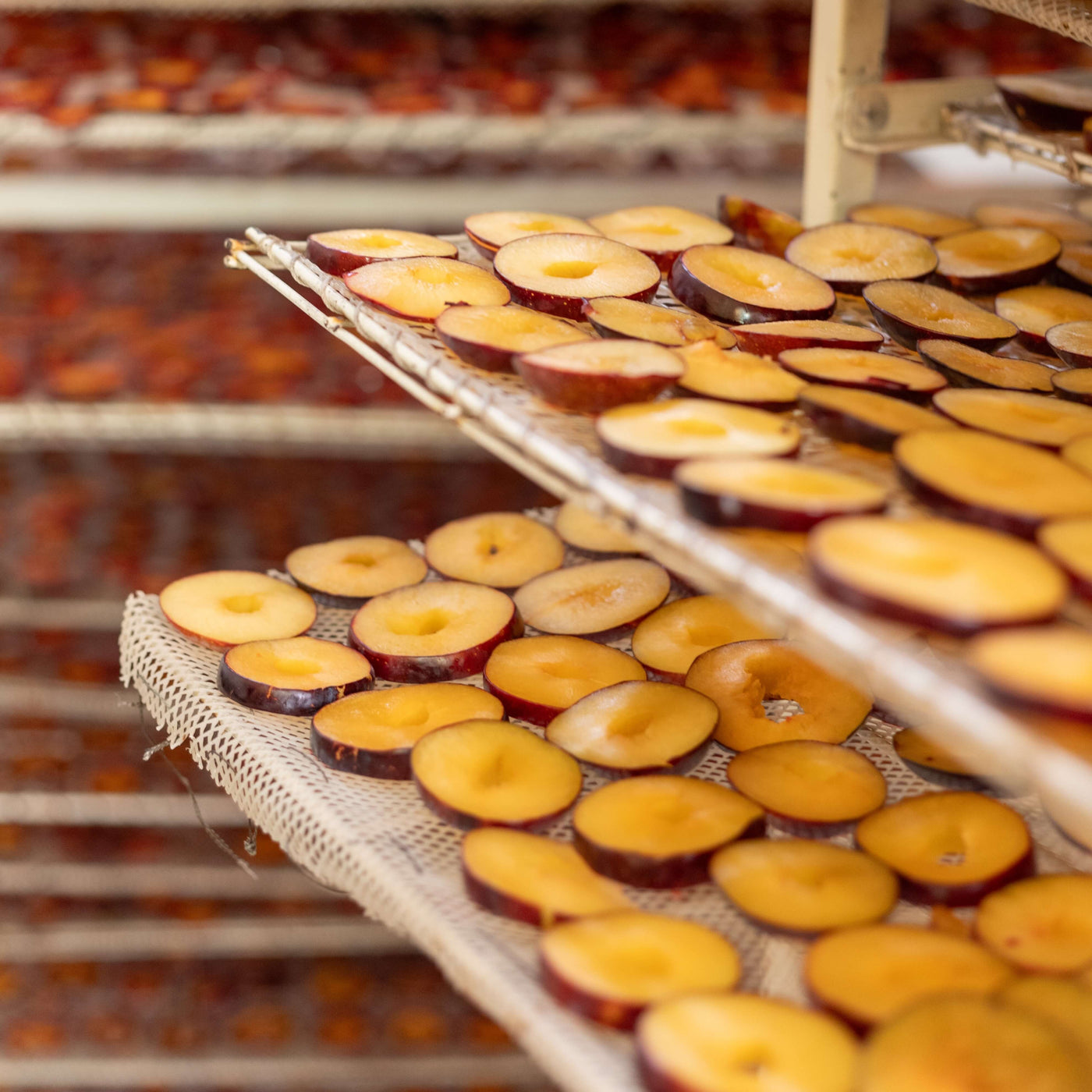 Plums, dried Herati