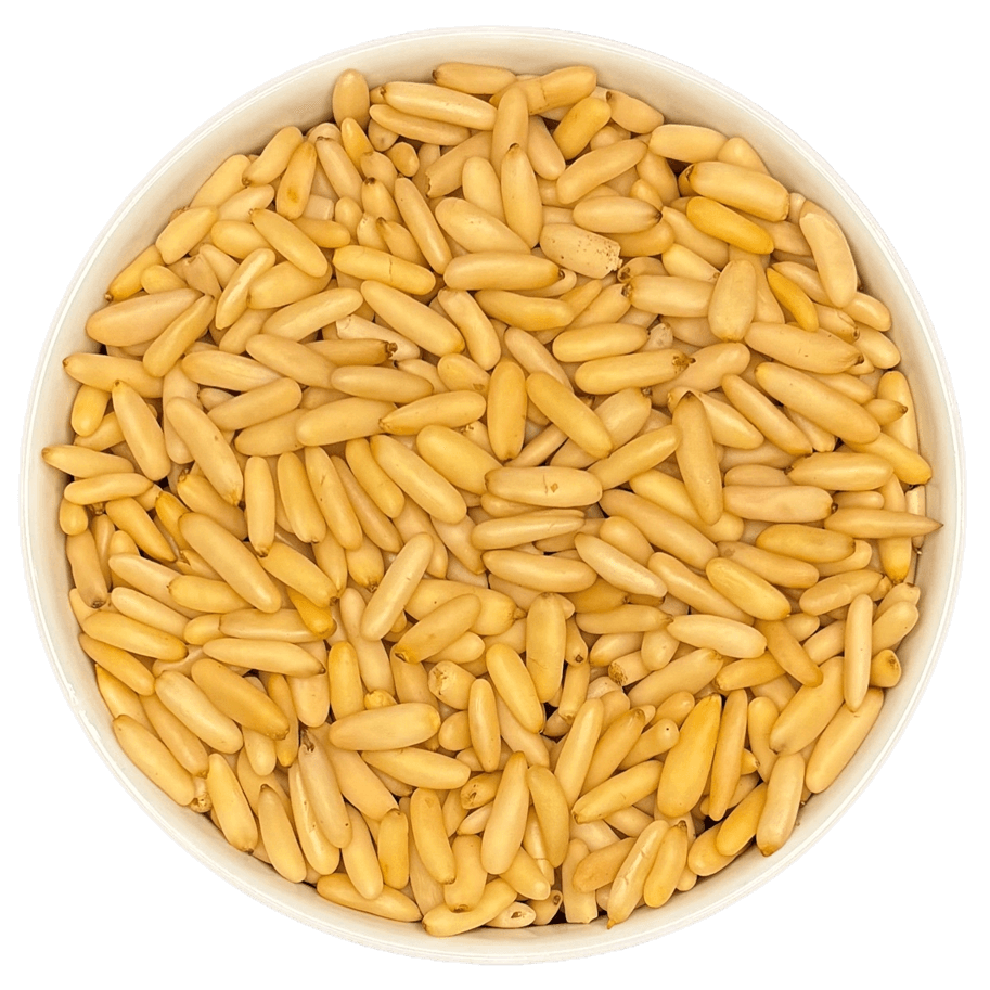 Jalghoza Pine nuts from Afghanistan